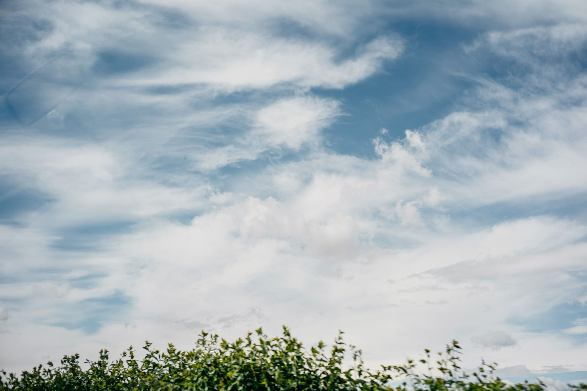 SesjaSlubnaPraga1006