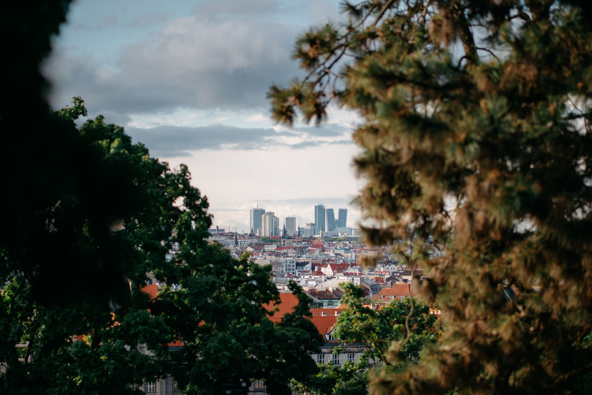 SesjaSlubnaPraga1013